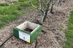 661207296_26253461244348205_4563737089568993756_n