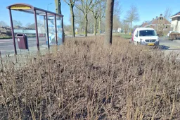 673496699_1302330101995726_8029599643310287094_n