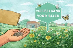 92035fd4-d1d1-43cb-a825-e6c16ddbcc00