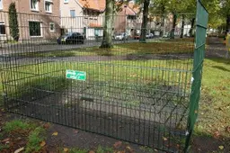 bladkorven