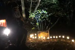 lichtjes