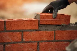 shutterstock_2470599637