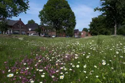 lente ecologisch beheer