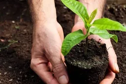 free photo of gift to nature pexels 1