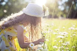 evelien picking flowers 2432972 1920 jillwellington