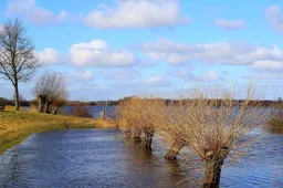 flood-456696_1280-1