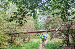 ©VVV Hart van Limburg Zomeravondwandeling De Meinweg-1
