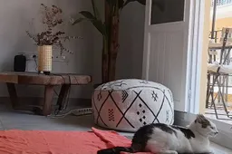 Mindfulness-Evelien-1