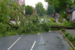 storm-567664_1920-1 PX