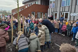 Toermalijn Maasbracht-1