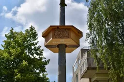 buzzer - 637836738_1382935010540535_875787639705801694_n-1