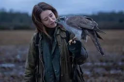 H is for Hawk - 10729629582716958383