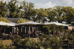 ©HartvanLimburg Plantage Blankwater Terras