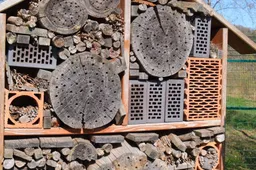 IVN-20260228 insectenhotel-1