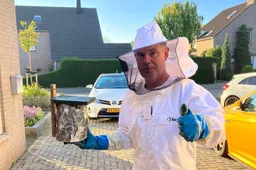 Deze ongediertebestrijder behoudt wespennesten liever dan dat hij ze bestrijdt-1