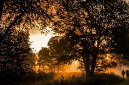 avond wandeling door de Meinweg met VVV Hart van Limburg gids  ©HartvanLimburg-1