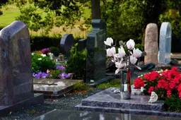 congerdesign-graves-3683272