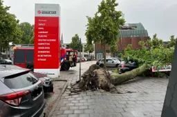 07 06 2025 stormschade margrietstraat uden 01