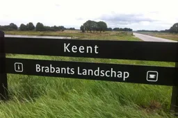 image 4523372 12