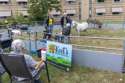 01. Keet's Kinderboerderij (2 september 2025)