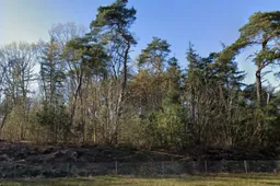 De Maashorst - Google Maps