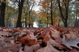 20191117_174006