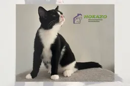 03-11-2025 Asieldier van de Week