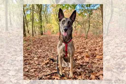 09-11-2025 Asieldier van de Week - Sandy