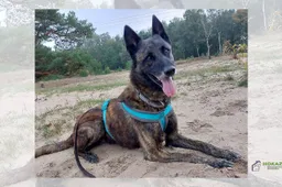 29-12-2025 Asieldier van de Week Luuk