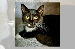 27-01-2026 Asieldier van de Week - Sophie