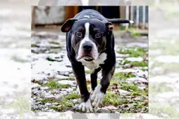 04-02-2026 Hokazo - Max