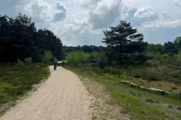 09-03-2026 Reekse Heide 01