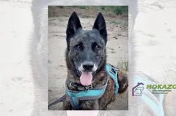 11-03-2026 Asieldier van de Week - Luuk