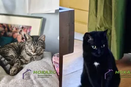 30-03-2026 Asieldier van de Week