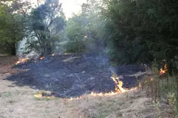 26-08-2026 Buitenbrand Uden 02