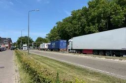 img 0585 2