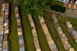 10-08-2025 Veghel in Hout 00