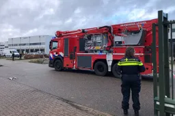 photo_2025-11-24_13-02-45