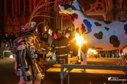 17-02-2026 kuusverbranding 2026-19