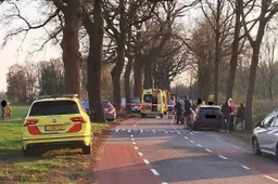 22-03-2026 Auto tegen boom Erp 01