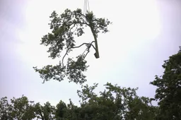 30-06-2026 Kappen plataan 05