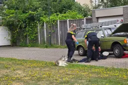 18-07-2026 Klusser gewond 01