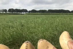 voeten boeren roelie waanders