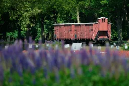 westerbork 75 jaar bevrijding