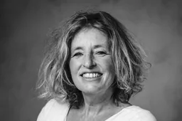 Meppel Barth Yvon Schedler_Palmslag kleiner