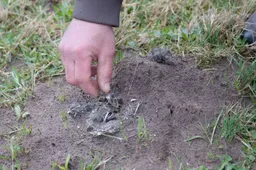 Reestdal Sporen in het landschap, Henk van Latesteijn
