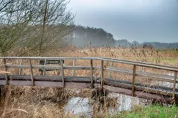 Reestdal, Gonny Sleurink (3)