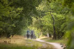 drfr-wold-adopteer-paardenroutes-1