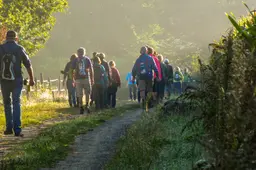 Zuidlaren Gunzeloop wandeltocht