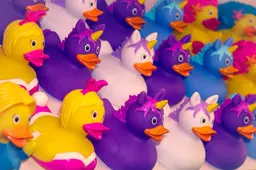 badeendjes birgl-duck-4044472